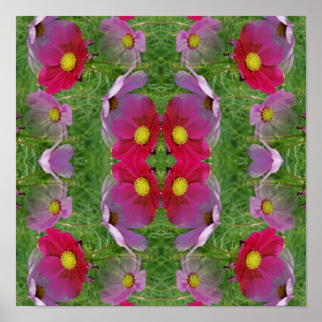 Cosmos Flowers Abstrakt Nature Poster (Framsidan)