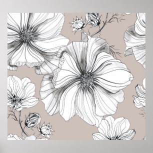 Cosmos Flowers: Botaniska Teckning Mönster. Poster