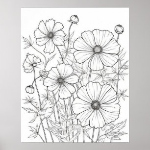 Cosmos Flowers-färgning Poster för Vuxnor