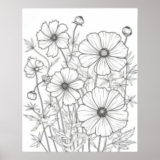Cosmos Flowers-färgning Poster för Vuxnor