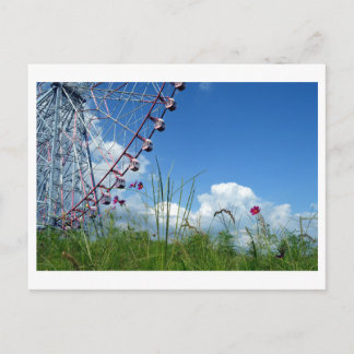 Cosmos Flowers & Ferris Wheel: Japan Vykort