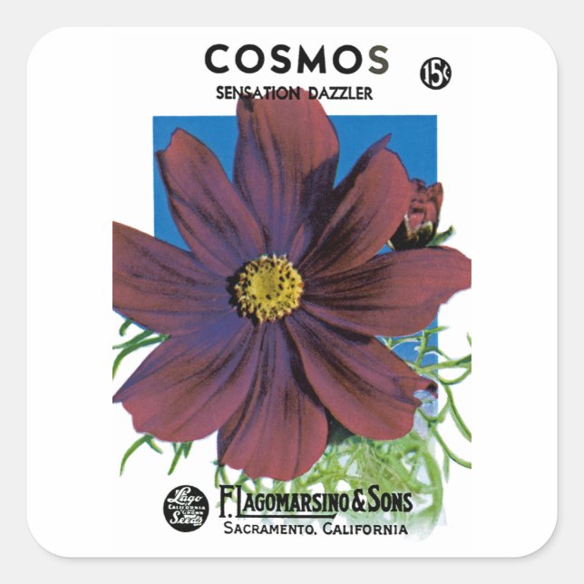 Cosmos Fyrkantigt Klistermärke (Framsida)