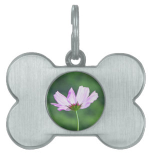 Cosmos ID-bricka Husdjur