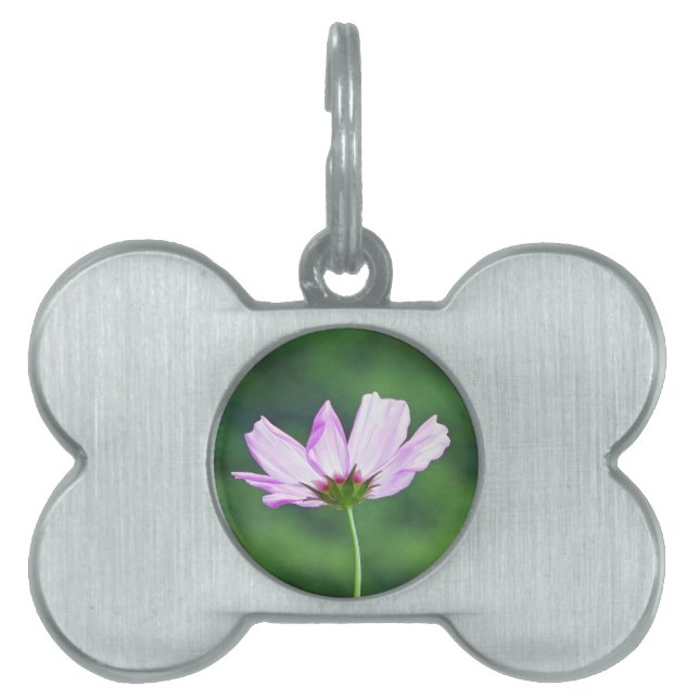 Cosmos ID-bricka Husdjur (Framsidan)
