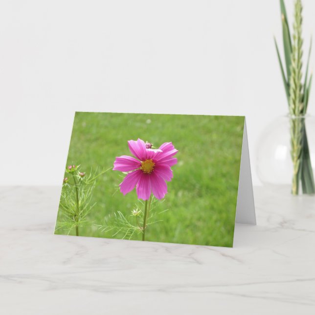 Cosmos notecard kort (Framsida)
