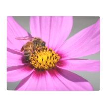Cosmos och Bee