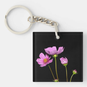 Cosmos på natten