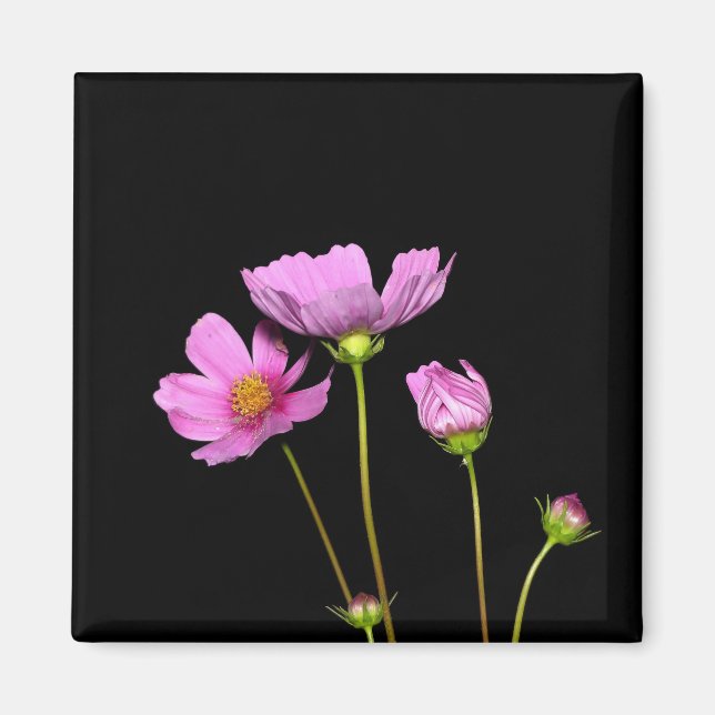 Cosmos på natten magnet (Framsidan)