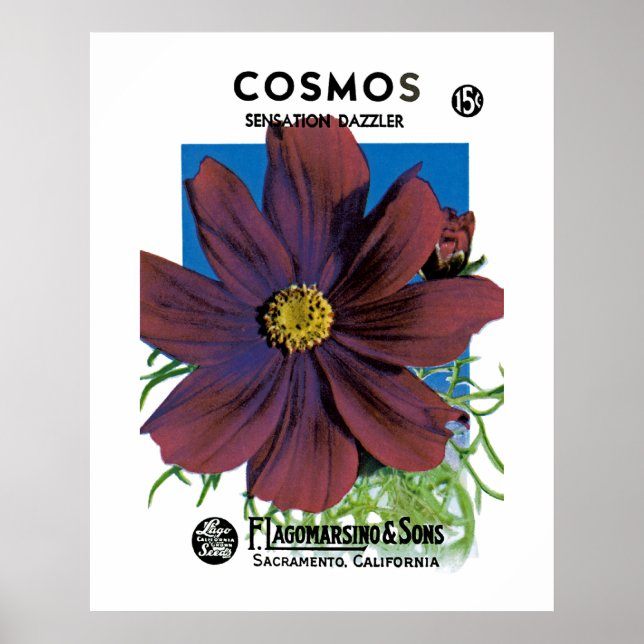 Cosmos Poster (Framsidan)