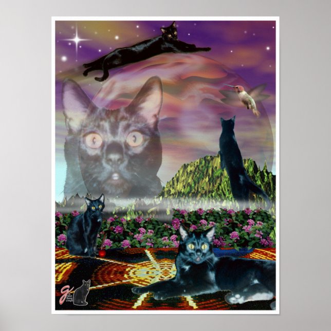 Cosmos Poster (Framsidan)