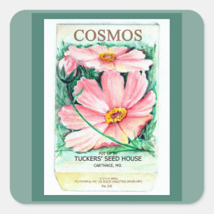 Cosmos Seed Packet Fyrkantigt Klistermärke