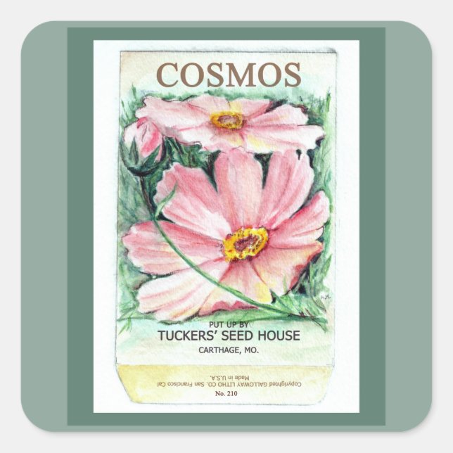 Cosmos Seed Packet Fyrkantigt Klistermärke (Framsida)