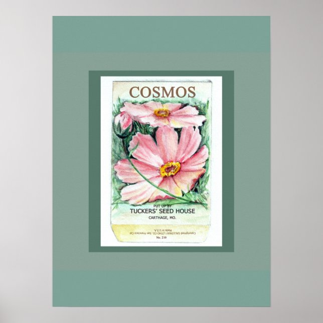 Cosmos Seed Packet Poster (Framsidan)