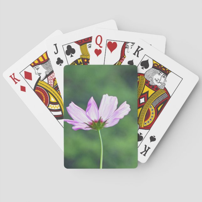 Cosmos Spelkort (Baksidan)