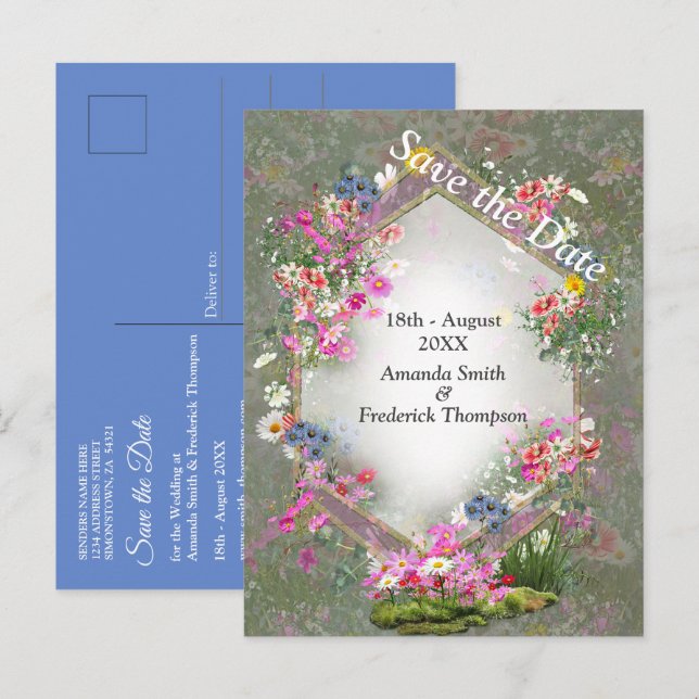 Cosmos vilda blommor meddelande vykort (Fram/baksida)