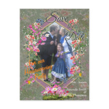 Cosmos Wilderness Vild-Flowers