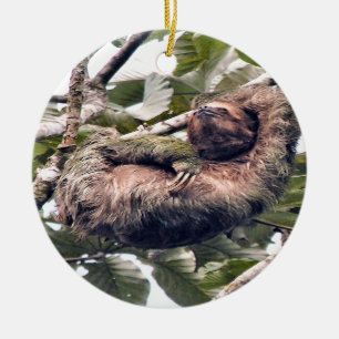Cosra Rican sloth Julgransprydnad Keramik