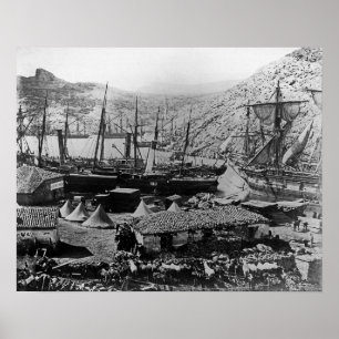 Cossack Bay, Crimea, 1855 Poster