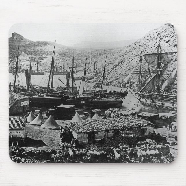 Cossackfjärd, Crimea, c.1855 Musmatta (Framsidan)