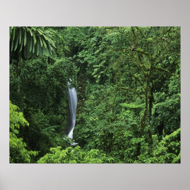 Costa Rica, Arenal Volcano-området, Hanging Bridge Poster (Framsidan)