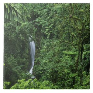 Costa Rica, Arenal vulkan område, Hängande broar Kakelplatta