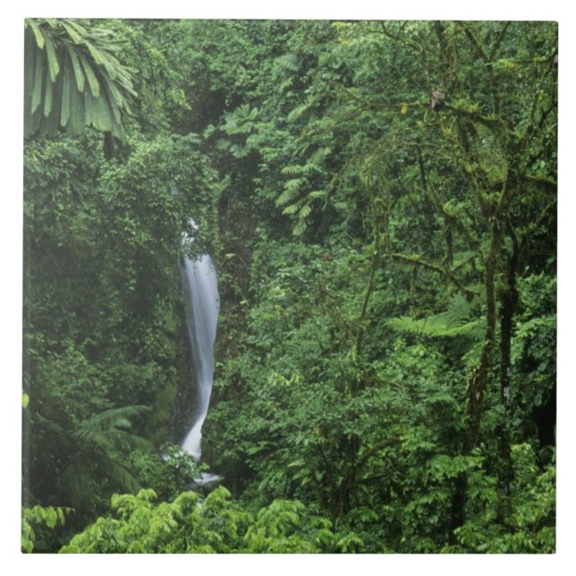 Costa Rica, Arenal vulkan område, Hängande broar Kakelplatta (Framsidan)