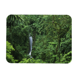 Costa Rica, Arenal vulkan område, Hängande broar Magnet