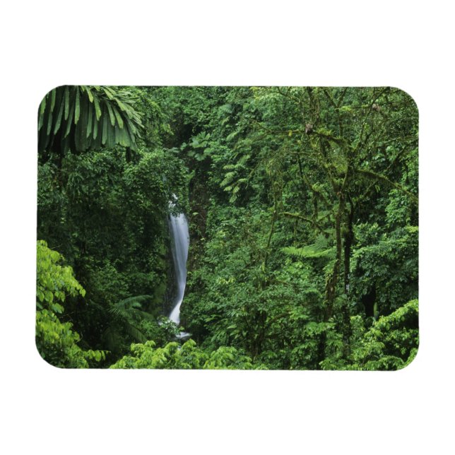 Costa Rica, Arenal vulkan område, Hängande broar Magnet (Horisontell)