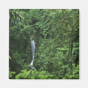 Costa Rica, Arenal vulkan område, Hängande broar Magnet