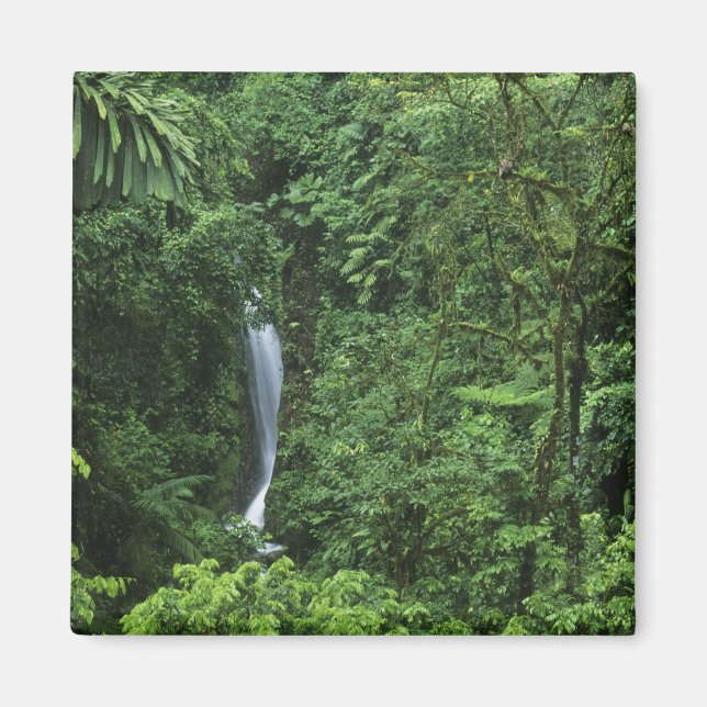 Costa Rica, Arenal vulkan område, Hängande broar Magnet (Framsidan)