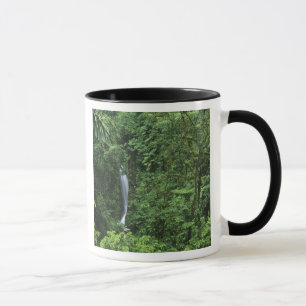 Costa Rica, Arenal vulkan område, Hängande broar Mugg
