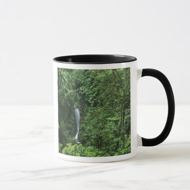 Costa Rica, Arenal vulkan område, Hängande broar Mugg (Höger)