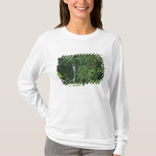 Costa Rica, Arenal vulkan område, Hängande broar Tee