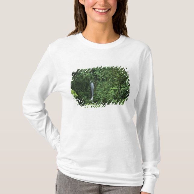 Costa Rica, Arenal vulkan område, Hängande broar Tee (Framsida)