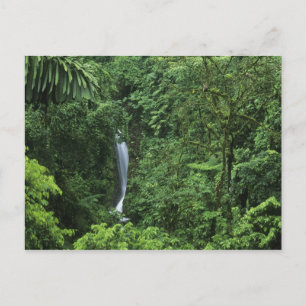 Costa Rica, Arenal vulkan område, Hängande broar Vykort