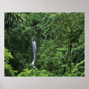 Costa Rica, Arenal vulkan området, Hängande broar Poster