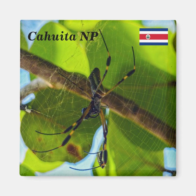 Costa Rica, Cahuita NP - Golden Orb Spider Magnet (Framsidan)