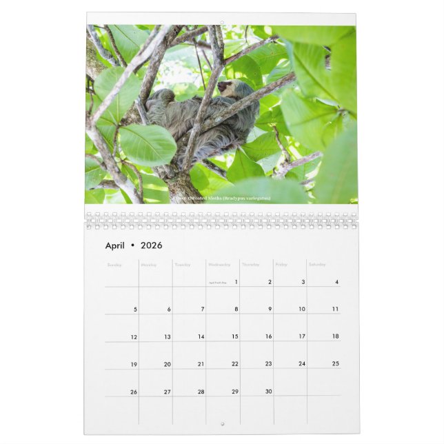 Costa Rica Calendar Kalender (Apr 2026)