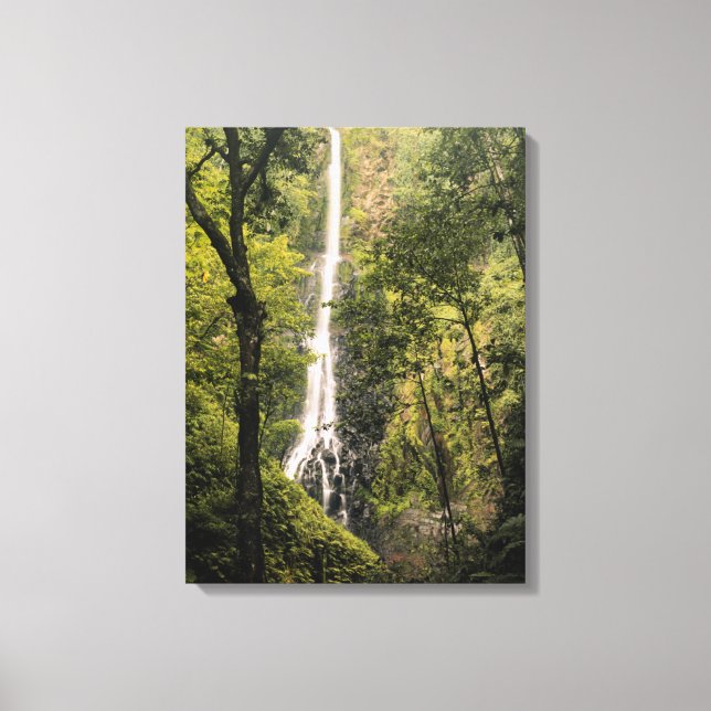 Costa Rica, Cocos Island, Wafer Bay vattenfall Canvastryck (Framsida)
