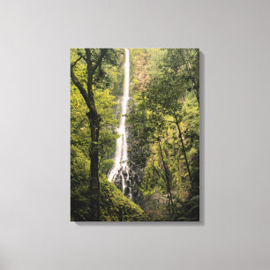Costa Rica, Cocos Island, Wafer Bay vattenfall Canvastryck