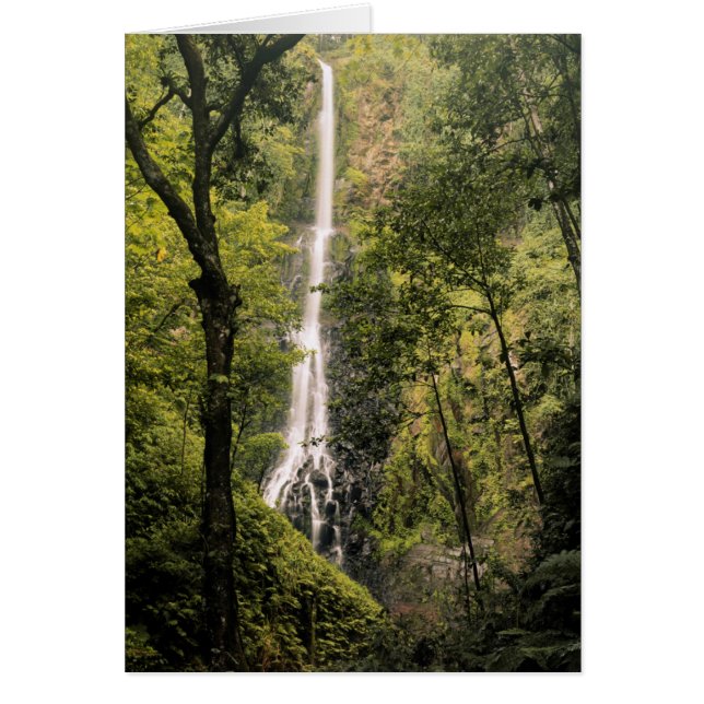 Costa Rica, Cocos Island, Wafer Bay vattenfall Hälsningskort (Framsidan)