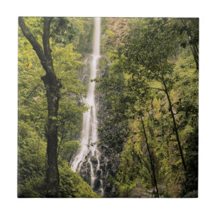 Costa Rica, Cocos Island, Wafer Bay vattenfall Kakelplatta