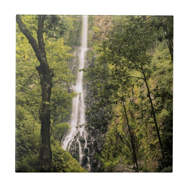 Costa Rica, Cocos Island, Wafer Bay vattenfall Kakelplatta (Framsidan)