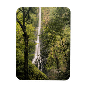 Costa Rica, Cocos Island, Wafer Bay vattenfall Magnet