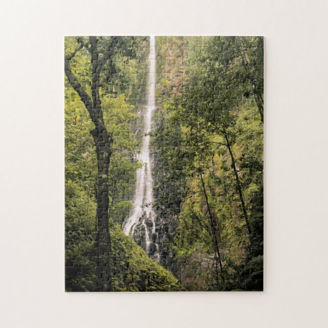 Costa Rica, Cocos Island, Wafer Bay vattenfall Pussel (Vertikal)
