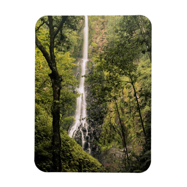 Costa Rica, Cocos Island, Wafer Bay Waterfall Magnet (Vertikal)