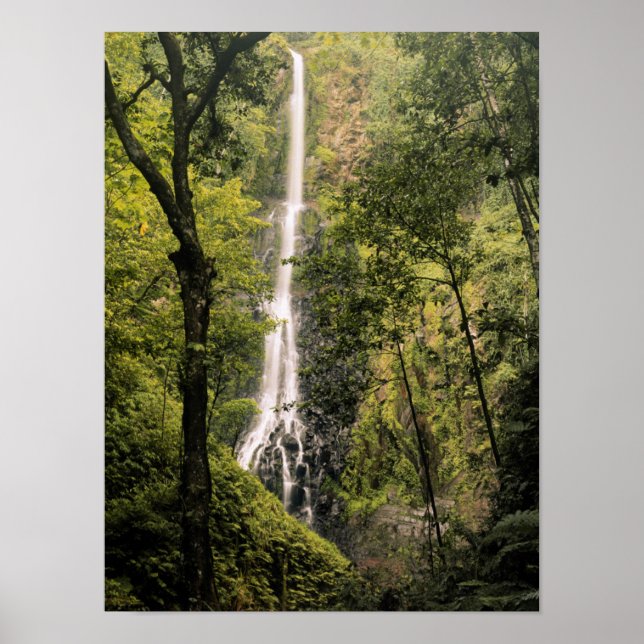 Costa Rica, Cocos Island, Wafer Bay Waterfall Poster (Framsidan)