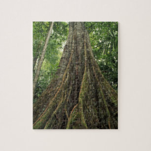 Costa Rica, Corcovado nationalpark, Stöttad Pussel