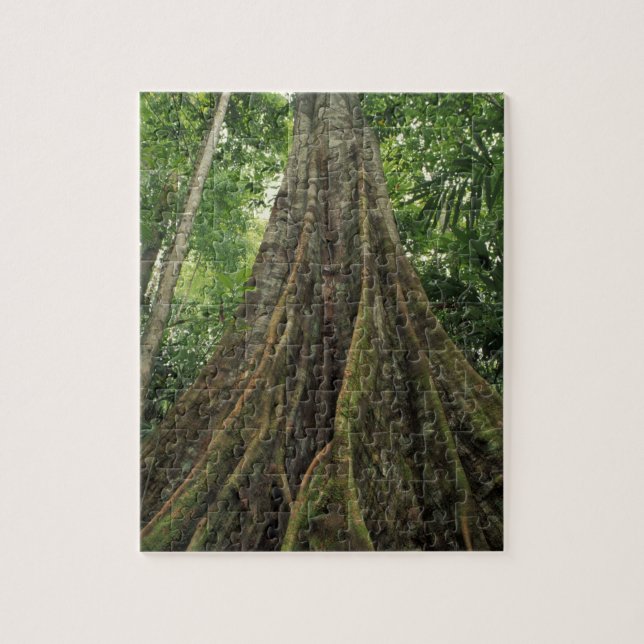 Costa Rica, Corcovado nationalpark, Stöttad Pussel (Vertikal)