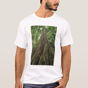 Costa Rica, Corcovado nationalpark, Stöttad T-shirt